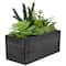 10" Mixed Succulent Plants in Rectangular Planter